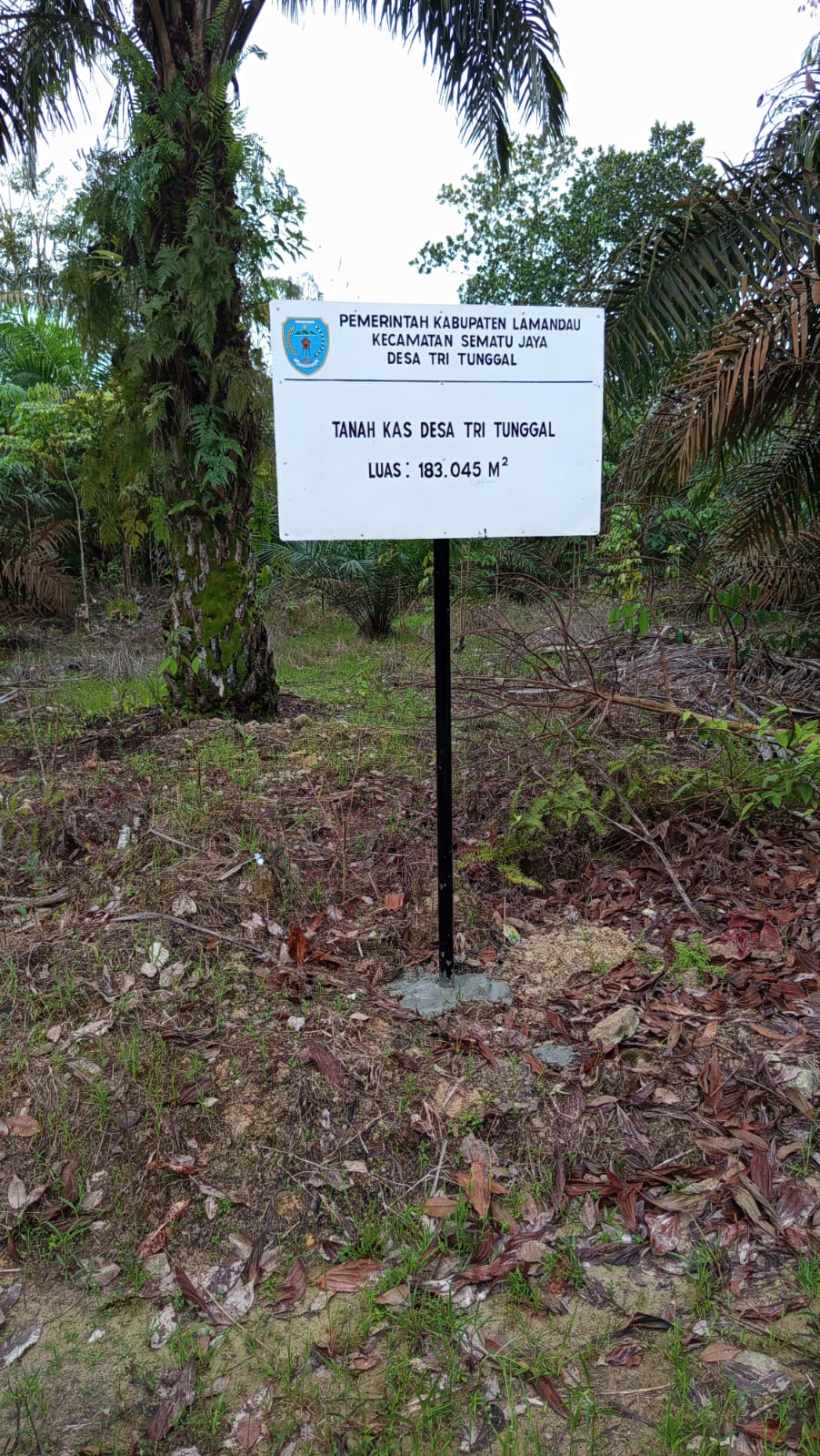 Pemerintah Desa Tri Tunggal melakukan pemasangan Plang pada Tanah Kas Desa